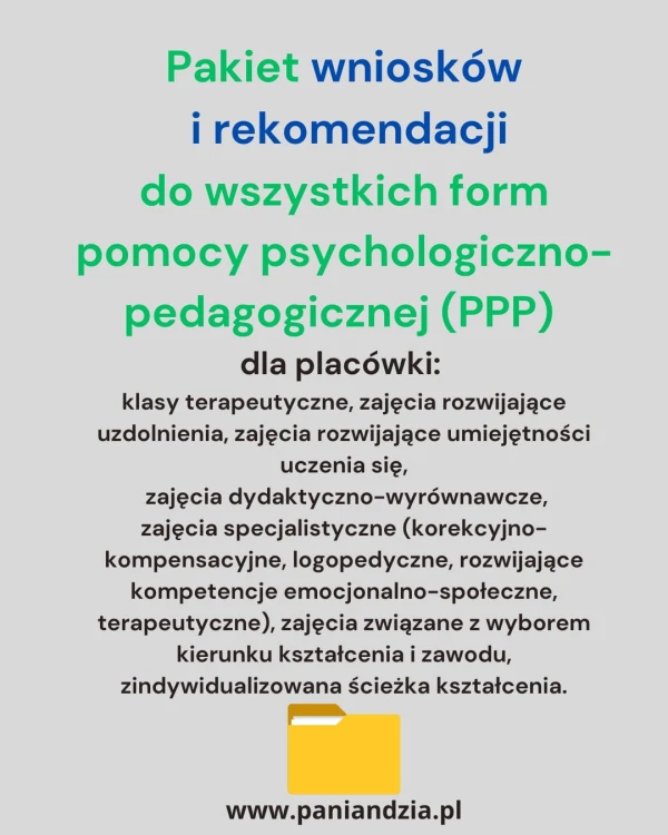 Wnioski i rekomendacje do PPP.jpg