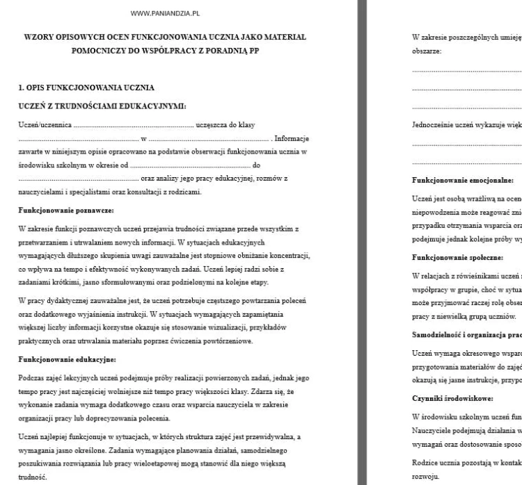 OPIS FUNKCJONOWANIA DZIECKA DO ppp.jpg
