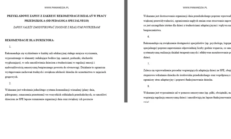 rekomendacja działań pedagog specjalny.jpg