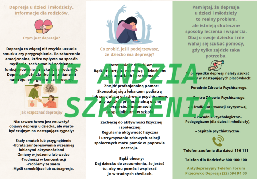 Zrzut ekranu 2024-02-27 092059.png