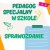 PEDAGOG SPECJALNY W SZKOLE SPRAWOZDANIE.jpg