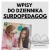 dziennik surdopedagog