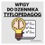 dziennik tyflopedagog