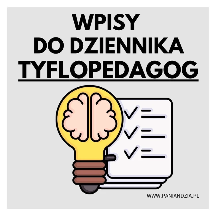 dziennik tyflopedagog