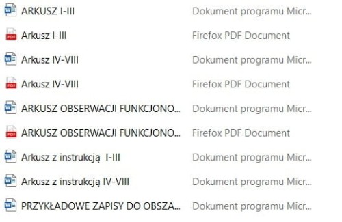 DIAGNOZA FUNKCJONALNA ARKUSZE.jpg