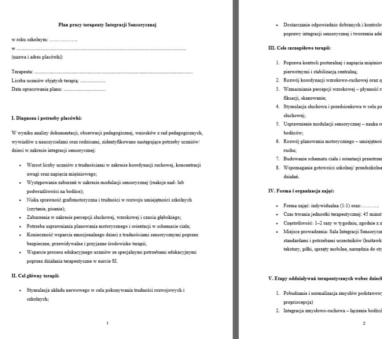 Plan pracy terapeuty SI.jpg