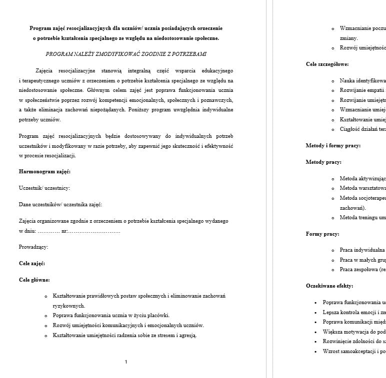 Program zajęć resocjalizacyjnych w szkole.jpg